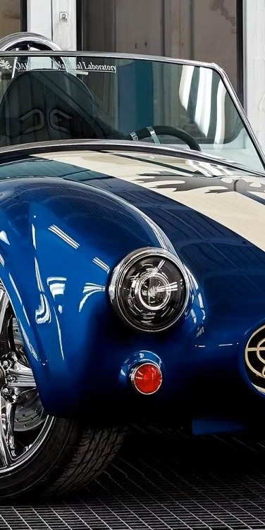 Tru-Design finished 3D printed Cobra